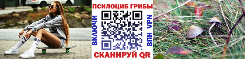 Псилоцибиновые грибы прущие грибы  Купить закладки  Сусуман 