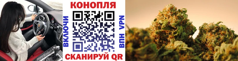 Шишки марихуана AK-47  Купить закладки  Сусуман 
